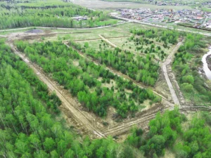 Дачный поселок  «Новые Ромашки»