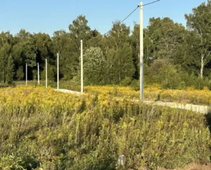 Деревня «Молчаново»