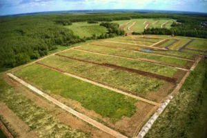 Коттеджный поселок «Дианино»