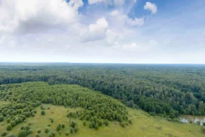 Коттеджный поселок «Филипповское»