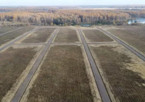 Коттеджный поселок «Грибоедово»