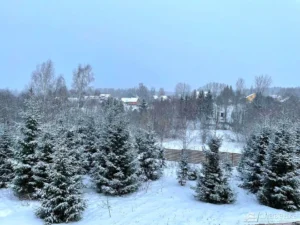 Коттеджный поселок «Крутой берег»