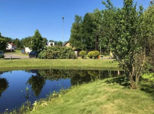 Коттеджный поселок «Лисичкин Лес»