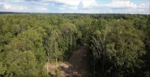 Коттеджный поселок «Лисичкин Лес»