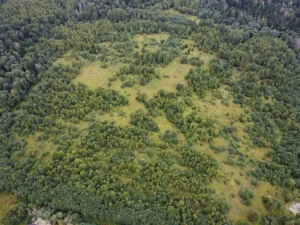 Коттеджный поселок «Матрешкино»