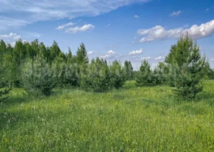 Коттеджный поселок «Новое Огуднево-3»