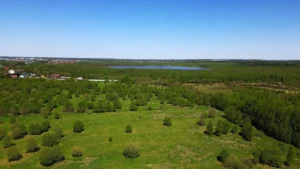 Коттеджный поселок «Парк Озерный»