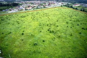 Коттеджный поселок «Покров Парк»