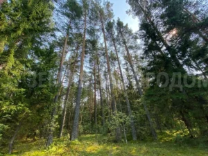 Коттеджный поселок «Рижские Дворики 2»