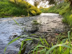 Коттеджный поселок «Рижские Дворики 2»