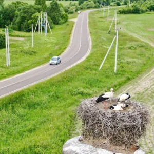 Коттеджный поселок «Рижские Дворики 4»