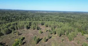 Коттеджный поселок «Сбоево»