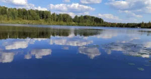 Коттеджный поселок «Сбоево»