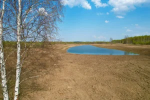 Коттеджный поселок «Торбеево ИЖС»