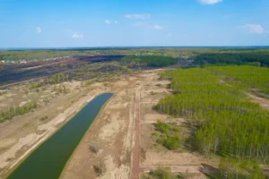 Коттеджный поселок «Торбеево ИЖС»