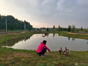 Коттеджный поселок «Троицкий лес»