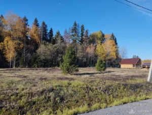 Коттеджный поселок «Троицкий лес»