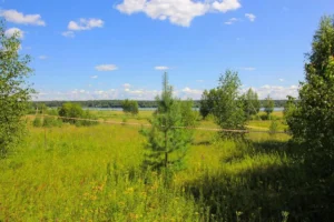 Коттеджный поселок «Волга Светлая»