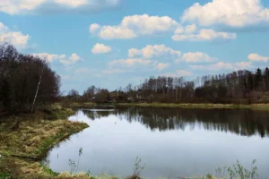 Коттеджный поселок «Якшино Лайт 2»