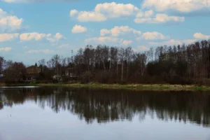 Коттеджный поселок «Якшино Лайт 2»