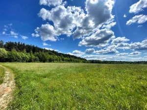 Коттеджный поселок «Якшино Лайт 3»