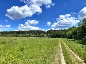 Коттеджный поселок «Якшино Лайт 3»