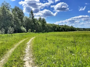 Коттеджный поселок «Якшино Лайт 3»