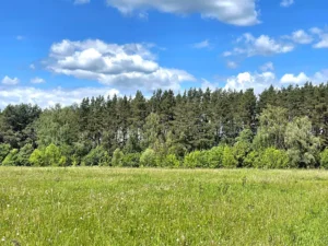 Коттеджный поселок «Якшино Лайт 3»