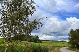 Коттеджный поселок "Яркое"