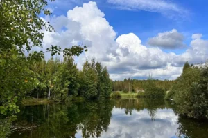 Коттеджный поселок "Яркое"