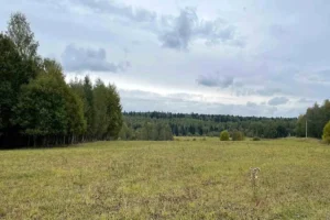 Коттеджный поселок "Яркое"