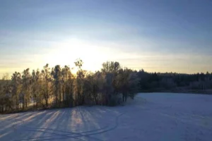 Коттеджный поселок "Яркое"