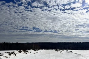 Коттеджный поселок "Яркое"