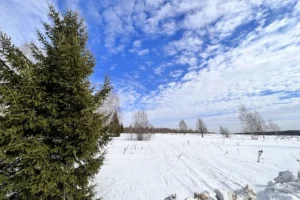 Коттеджный поселок "Яркое"