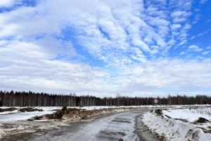 Коттеджный поселок "Яркое"