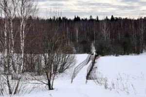 Коттеджный поселок "Яркое"