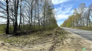 Коттеджный посёлок «Богатырское 3»