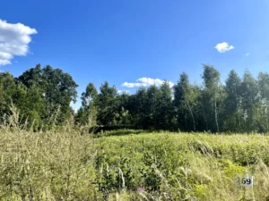 Коттеджный посёлок «Усадьба лесное озеро»