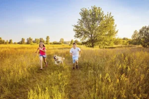 Коттеджный посёлок «Уютная Долина»