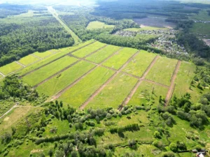 Поселок «Большое Трубицыно»