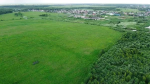 Поселок «Логинов лес»