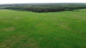 Поселок «Логинов лес»