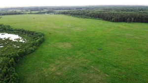 Поселок «Логинов лес»