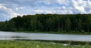 Поселок «Власьево»