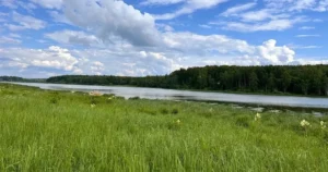 Поселок «Власьево»