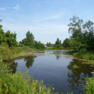 Посёлок «Подъячево ИЖС»