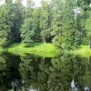 Посёлок «Подъячево ИЖС»