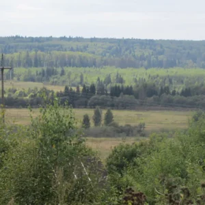 Посёлок «Подъячево ИЖС»