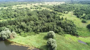 Дачный поселок "Разумовское"