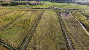 Дачный поселок "Разумовское"